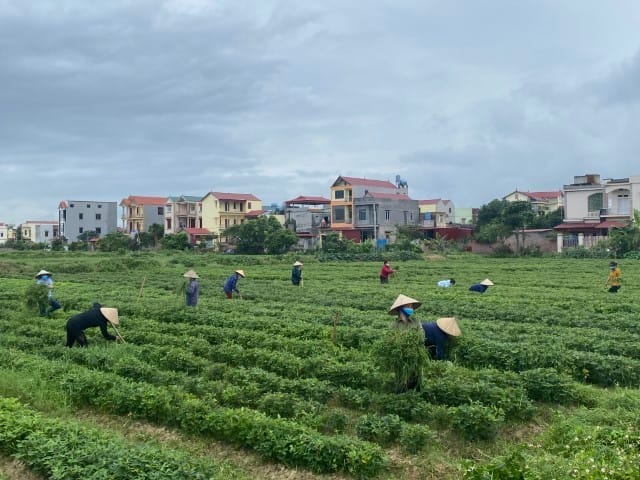 Bắc Ninh cách ly xã hội huyện Quế Võ
